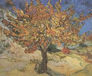 Vincent Van Gogh The Mulberry Tree (nn04) Spain oil painting reproduction